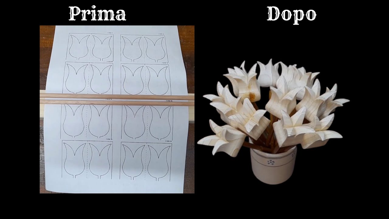 Tulipani 3D - Tulips 3D