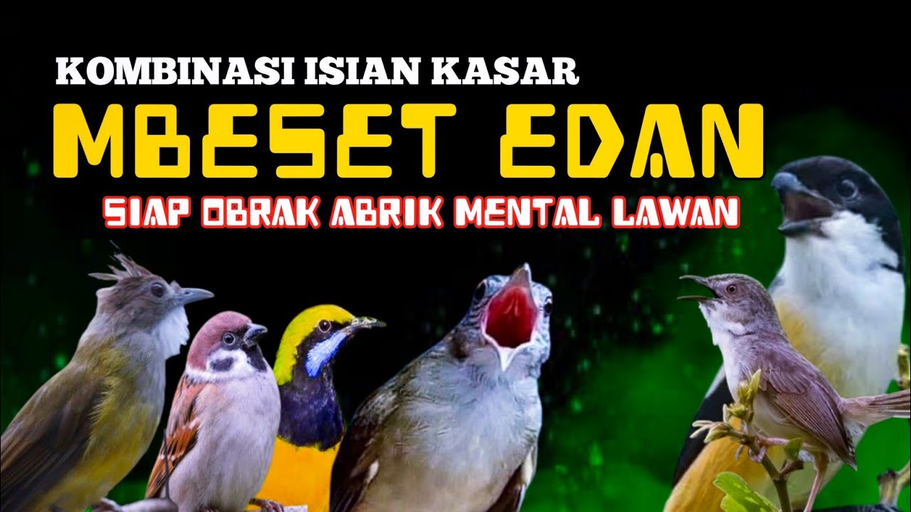 2 JAM MASTERAN MBESET EDAN 🔥 Kombinasi Isian Kasar Siap OBRak Abrik Mental Lawan | Gacor Tanpa Henti