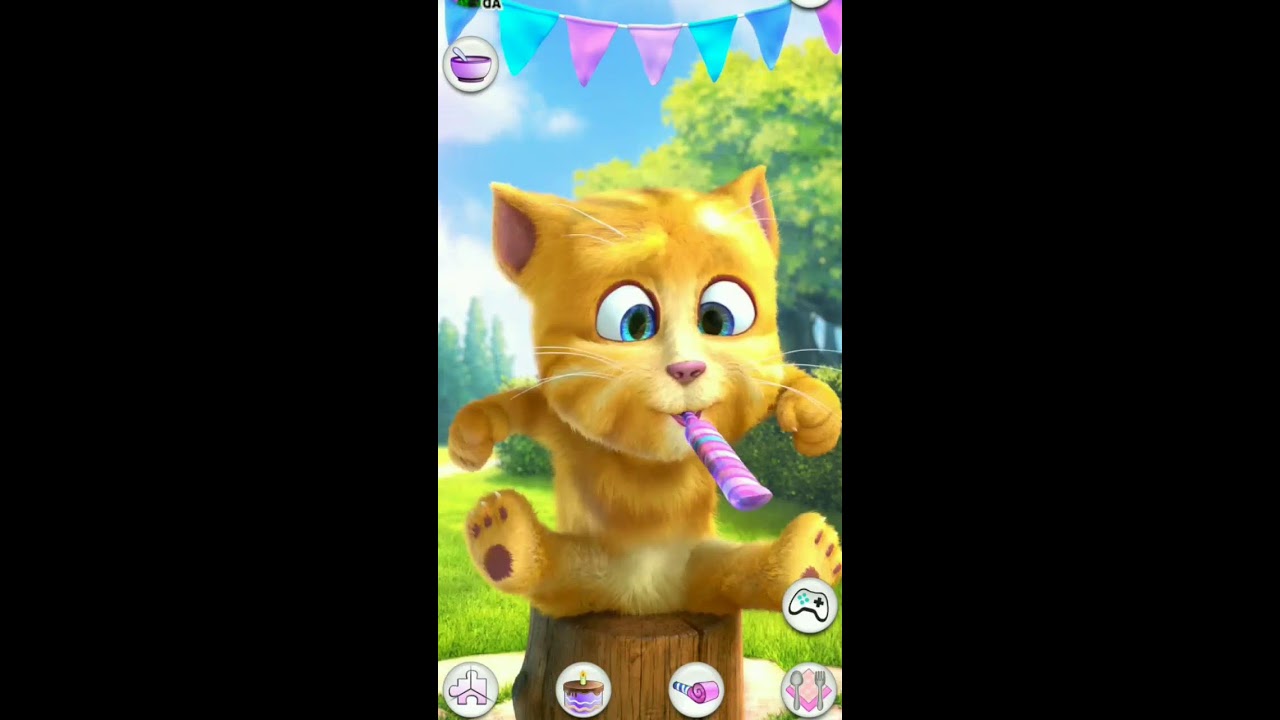 Talking Ginger Live Streaming