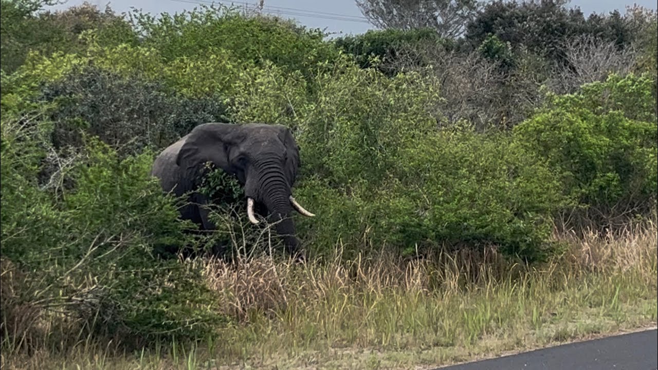 Mein Leben in Mosambik 🇲🇿 | Freiwilligendienst mit weltw&auml;rts