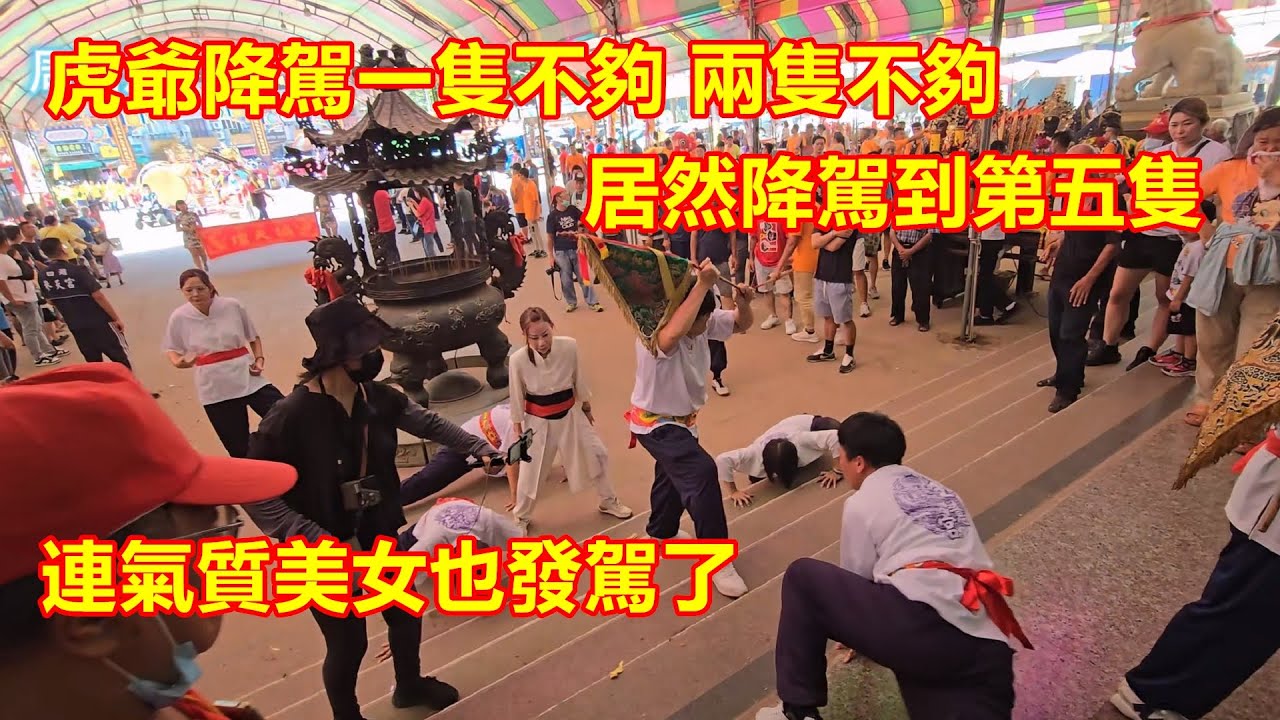 虎爺降駕一隻不夠 兩隻不夠 居然降駕到第五隻 連氣質美女也發駕了✨屏東無極玉意宮 蒞臨四湖參天宮進香