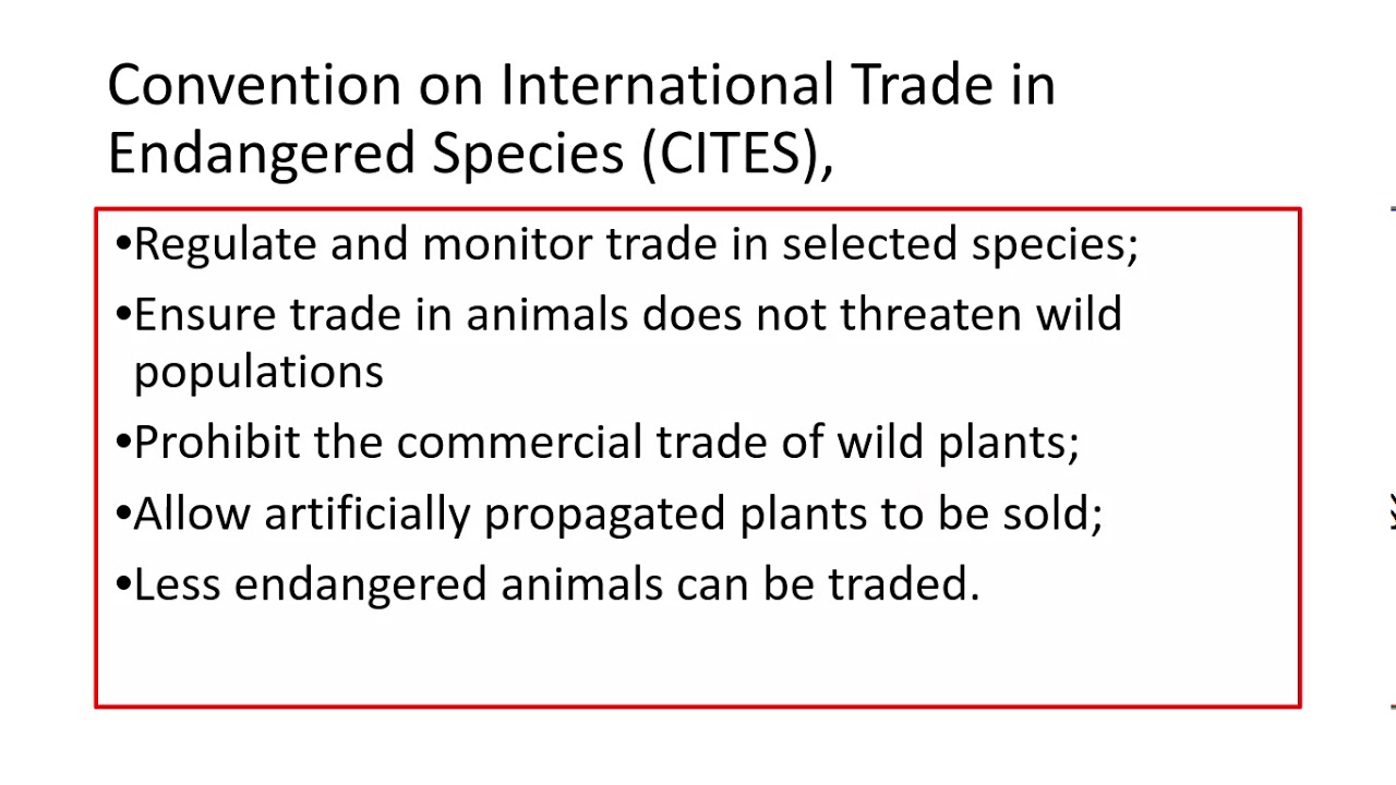 4.2.1. Biodiversity i)Conservation agreements, CITES, CBD, CSS