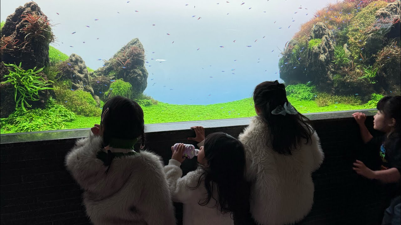 BluOceanStar at Sumida Aquarium, Tokyo!