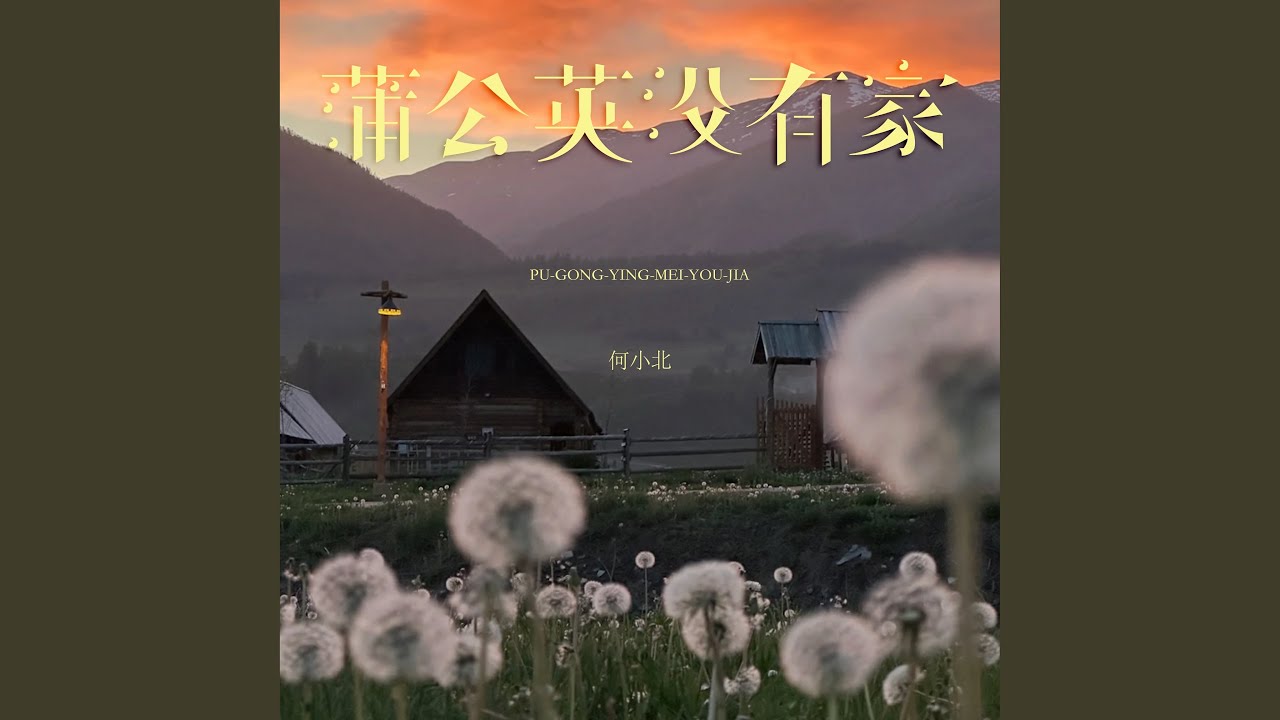 蒲公英没有家