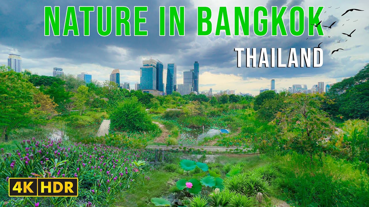 🇹🇭[4K HDR] Walking Tour at Benjakitti Forest Park 🌿 | Bangkok’s Green Escape