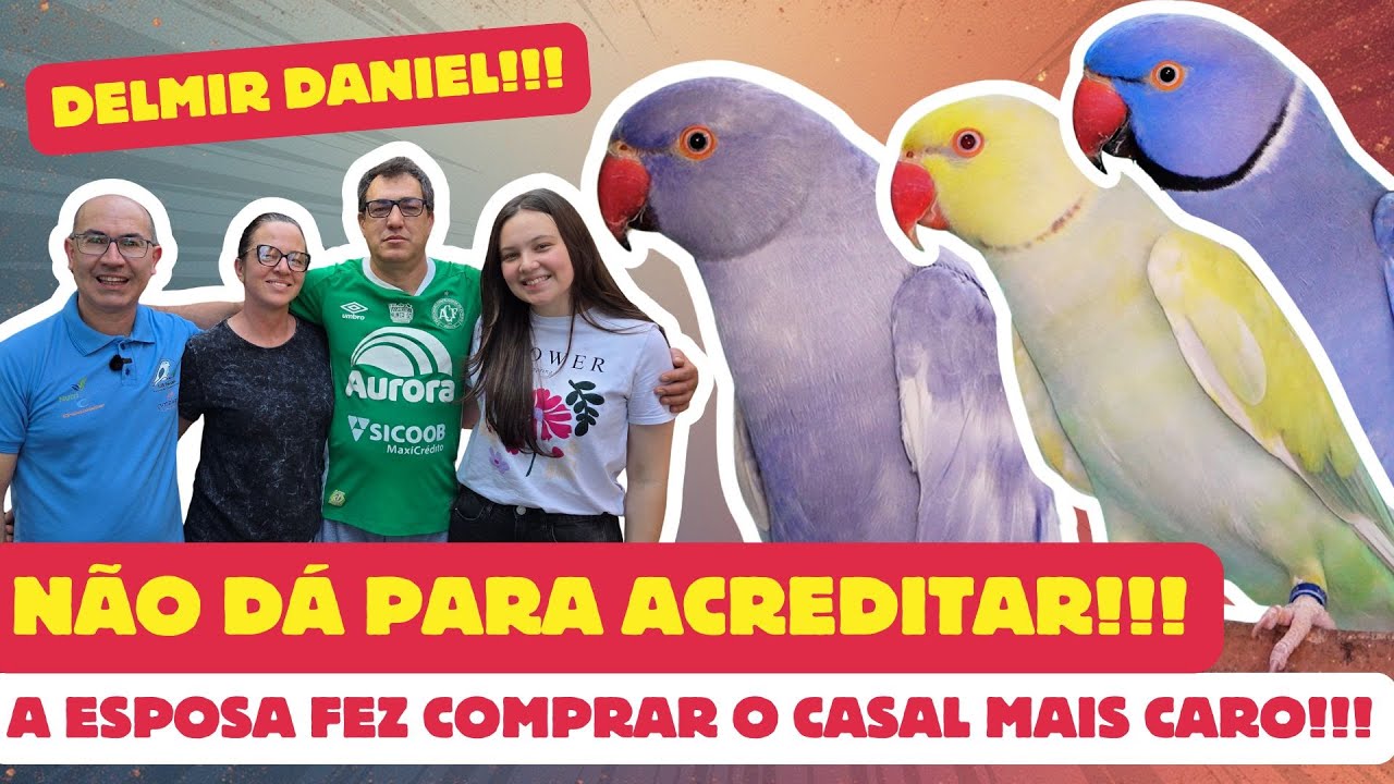 OLHA QUE COMEÇO INCRÍVEL!! PEGUEI UM CASAL CARO!! VALEU A PENA?