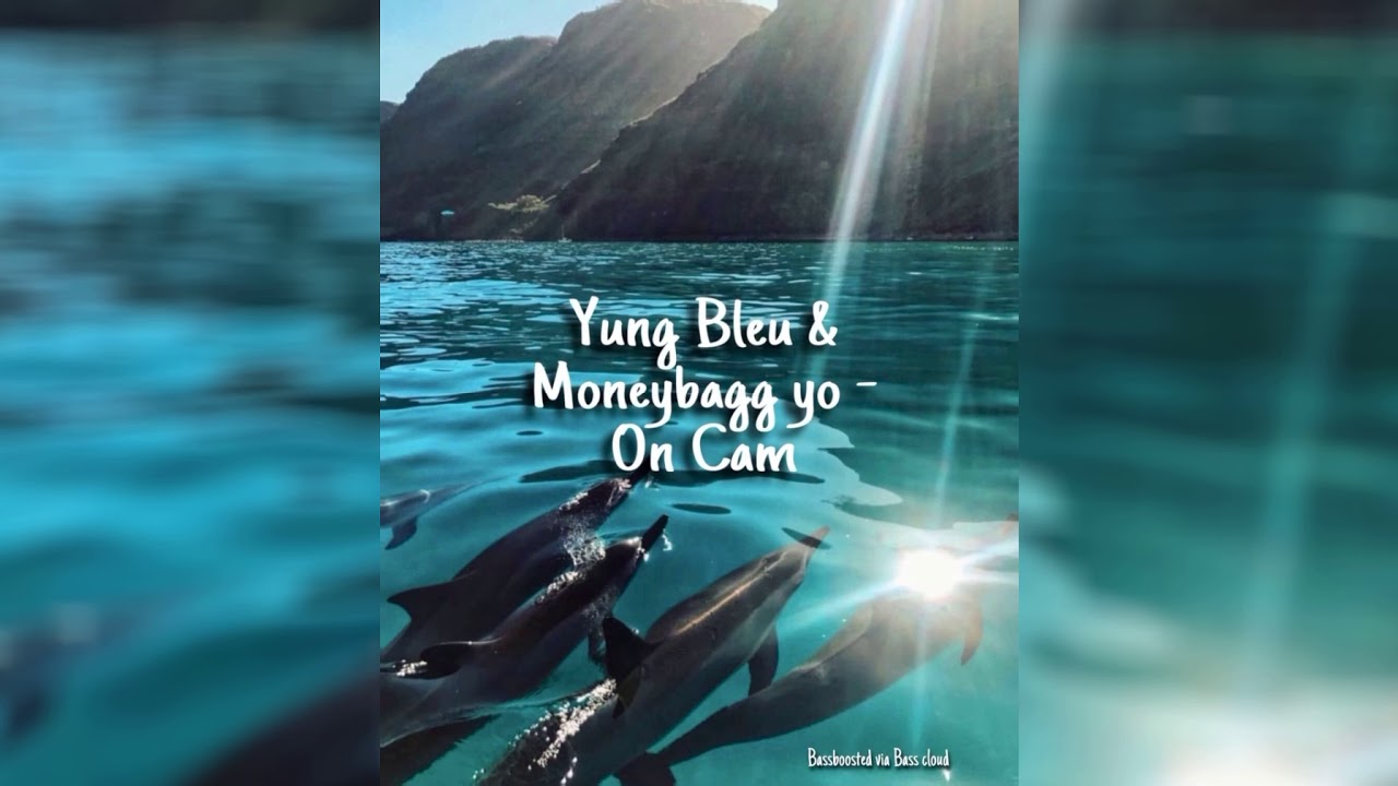 Yung Bleu & Moneybagg yo - On Cam (Bass boosted)