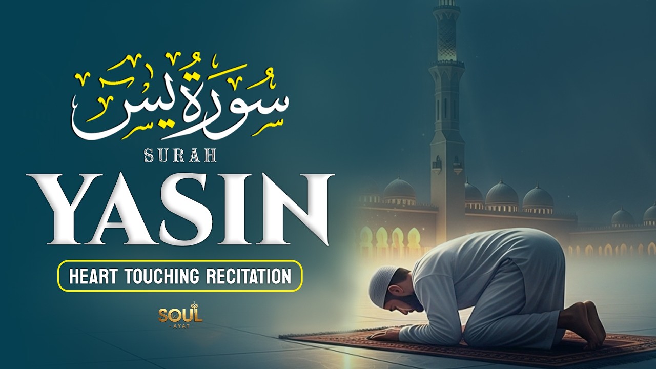 Surah Yasin(سورة يس) Relax Your Mind With Quran Recitation Inspiring Comfort And Peace