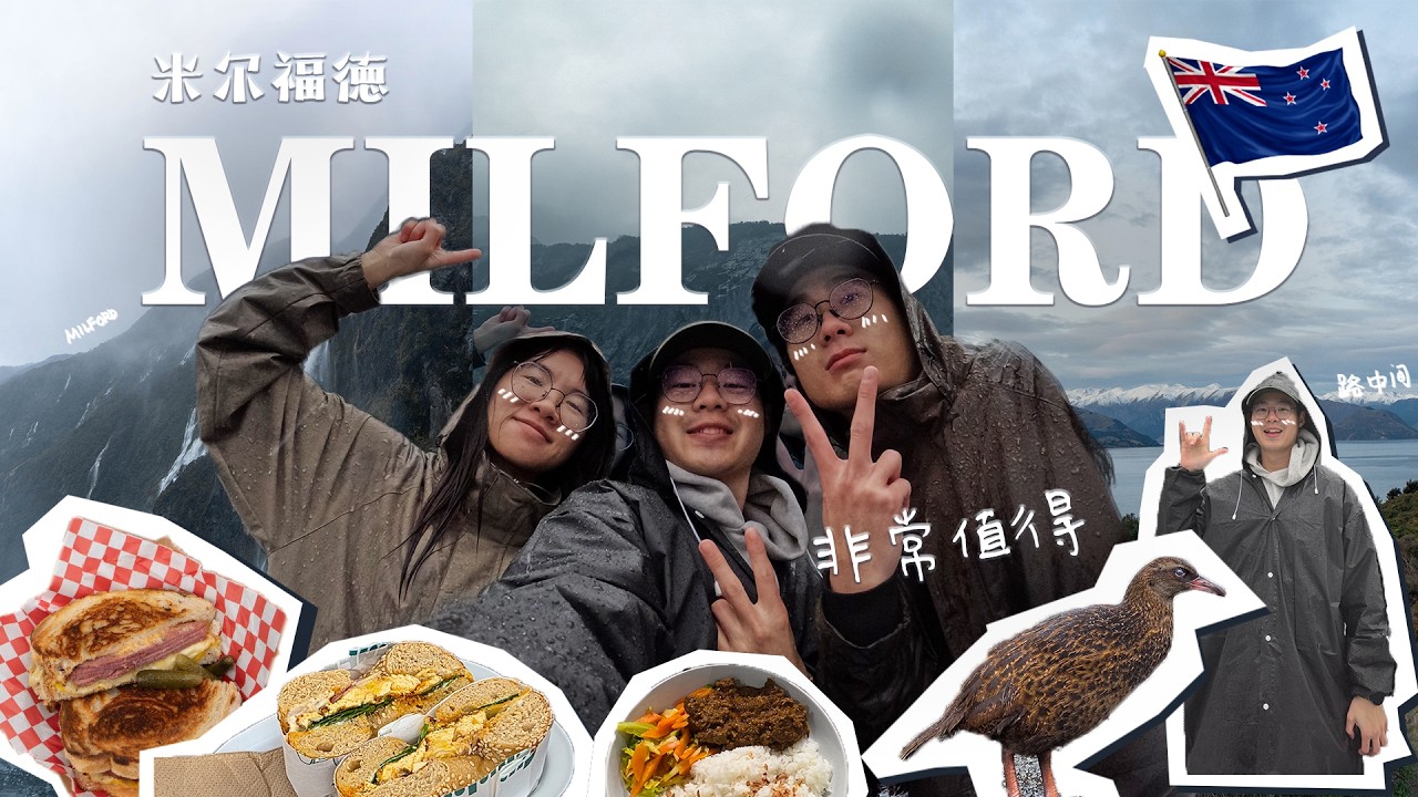 新西兰自驾游 Milford Vlog【New Zealand WHV Vlog | 新西兰打工度假 Vlog】