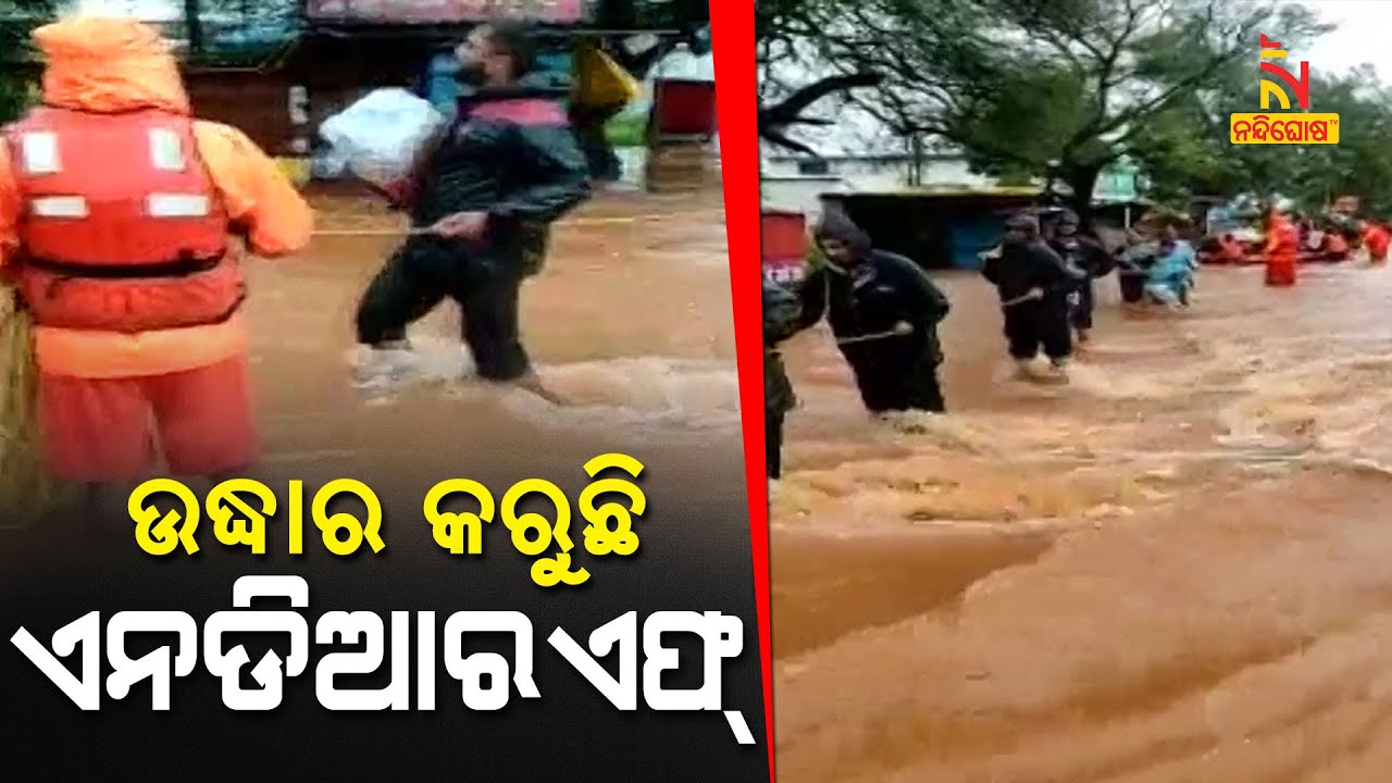 NDRF Team In Kolhapur Shifting People To Safe Areas Amid Heavy Rainfall | NandighoshaTV