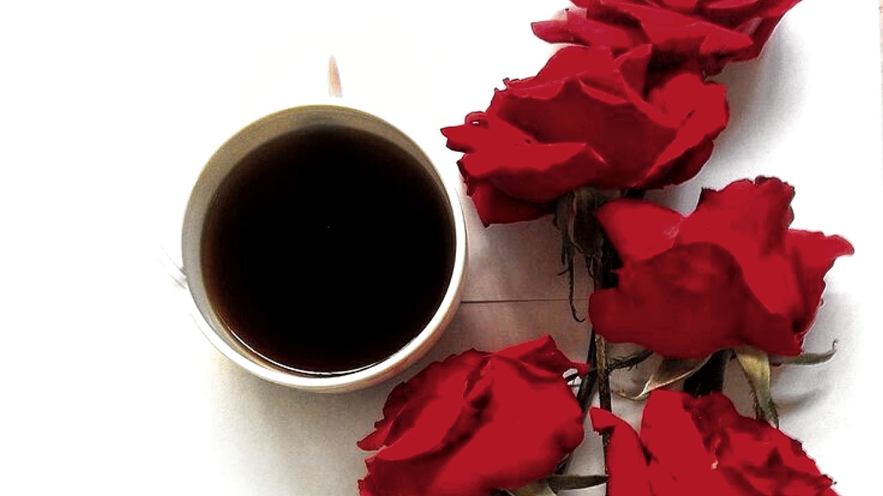 i.l.y. by the rose except they're playing in a coffee shop