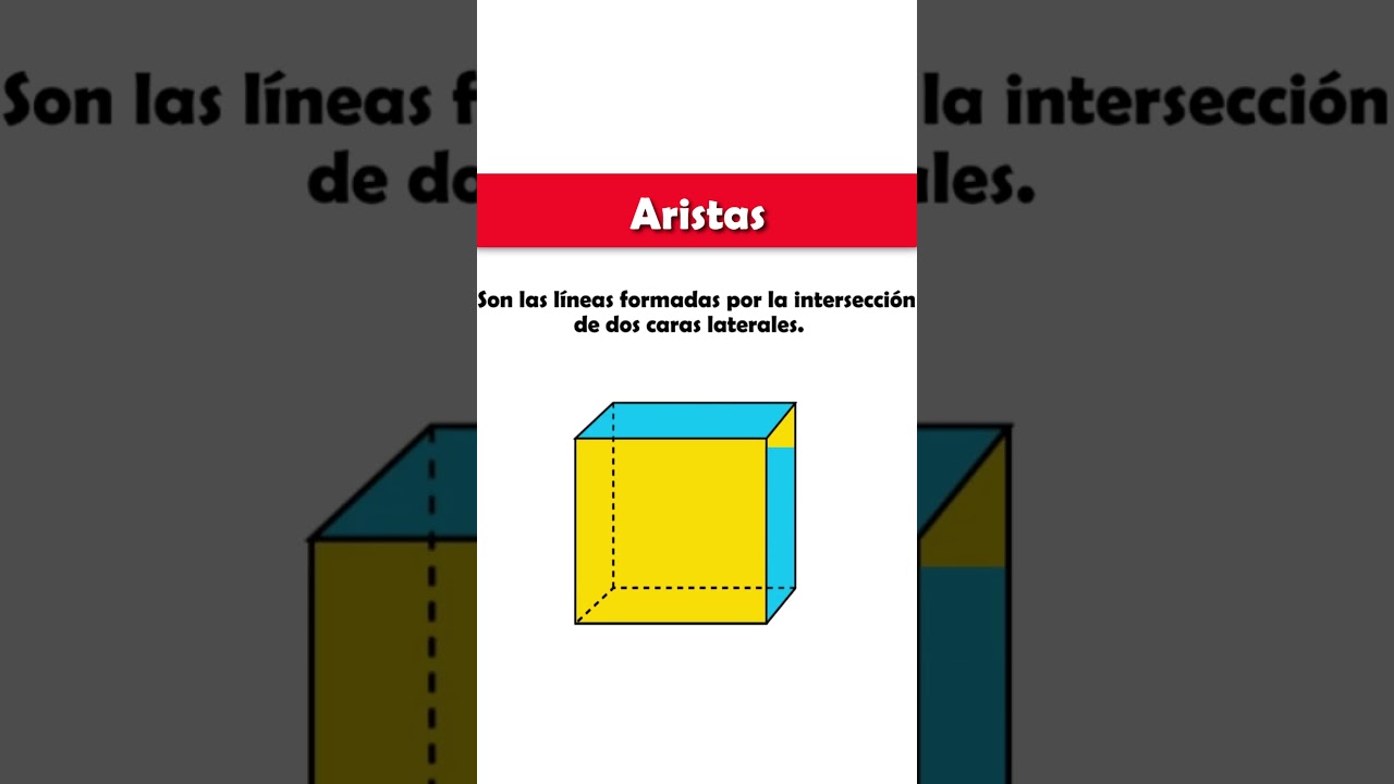 Aristas de los cuerpos geométricos 