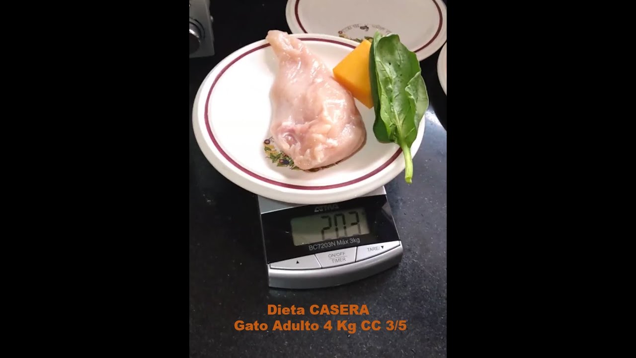 Dieta casera gato adulto 4 Kg vida sedentaria de buena condicion corporal