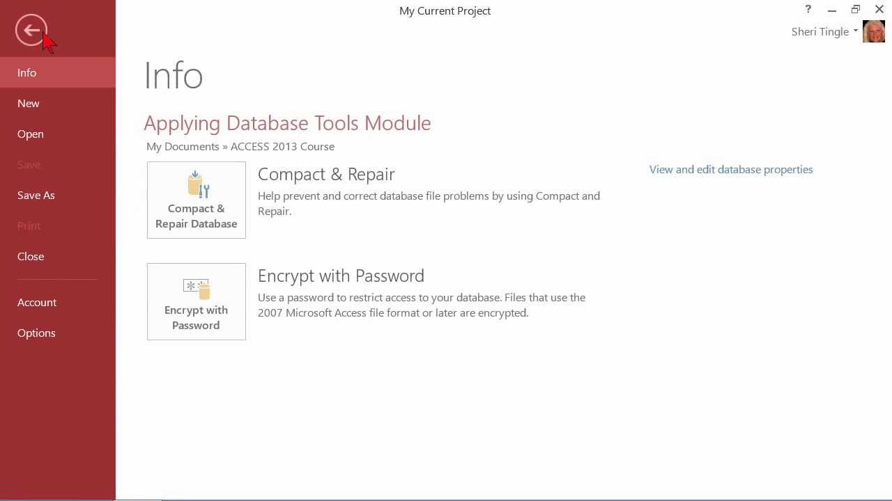 Microsoft Office Access 2013 Tutorial: Compacting and Repairing a Database | K Alliance