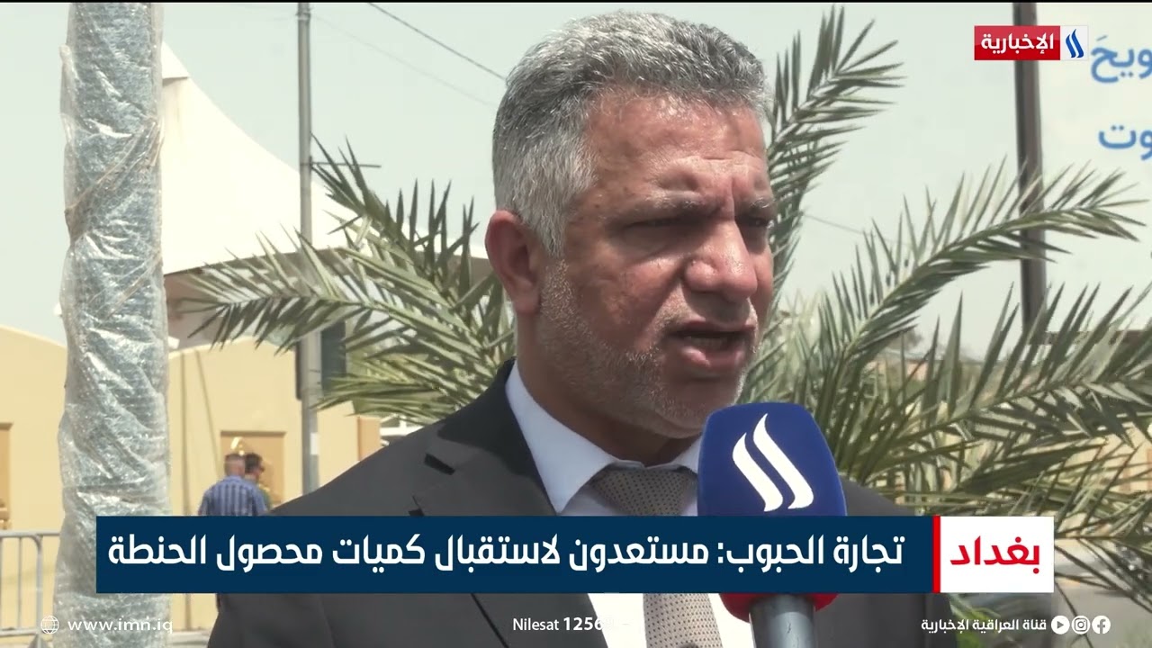 محصول الحنطة.. عشرة أيام على بدء موسم التسويق | تقرير عباس ناعم