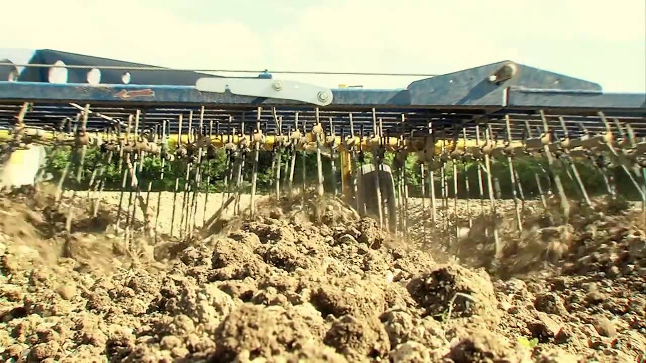 Le désherbage mécanique ou alternatif de la pomme de terre - Episode n°1