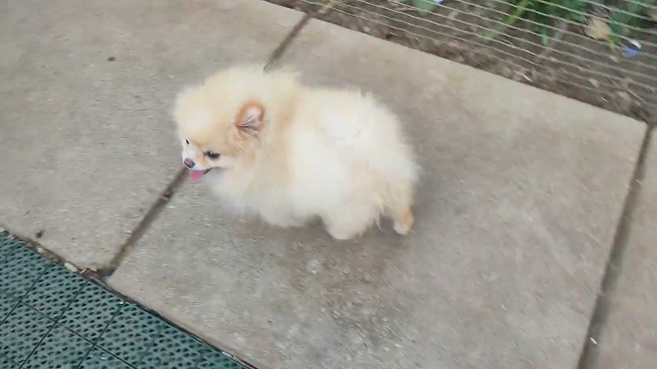 А работа то не кончается 🫣🤦