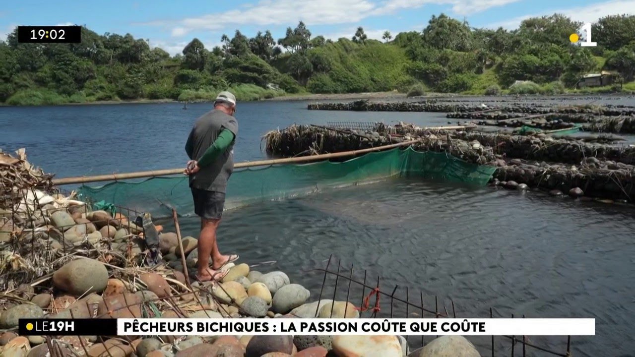 Face à la nouvelle réglementation, les pêcheurs de bichiques tentent de s’organiser