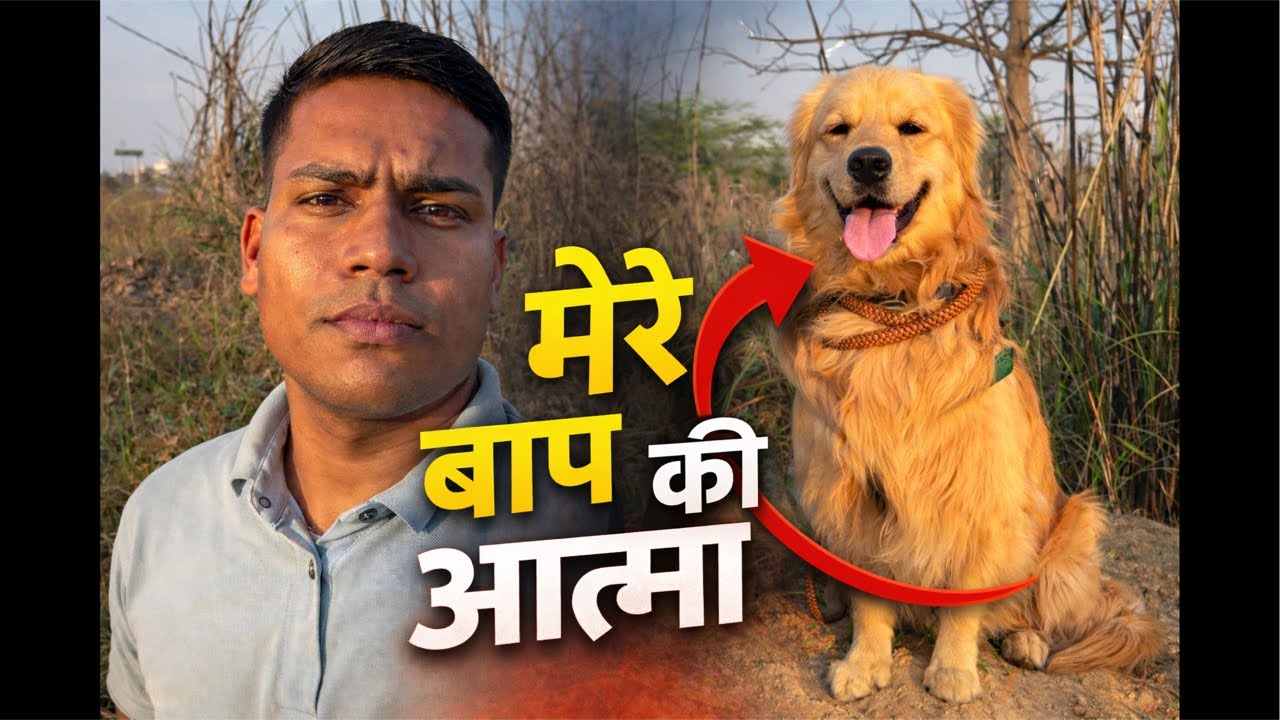 Real truth and evening walk,#shorts #shortvideo #pet #cutepuppy