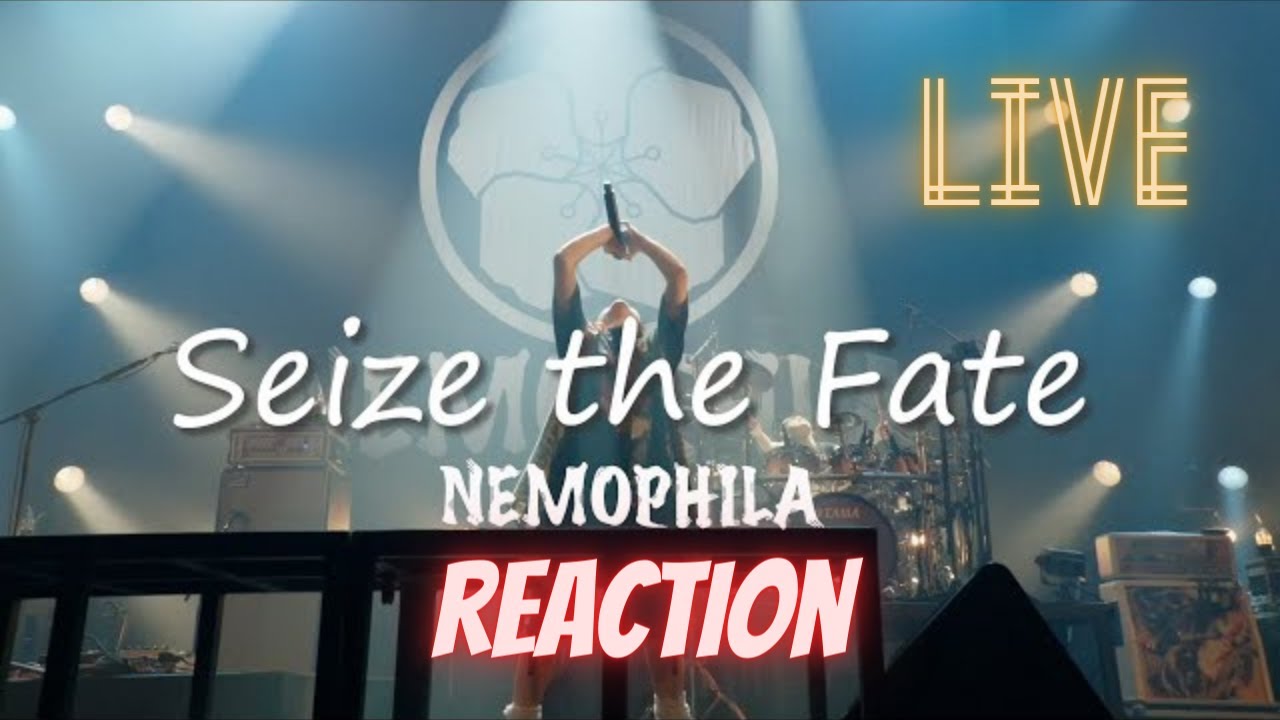 Nemophila - Seize the Fate (Reaction) | Official Live Video