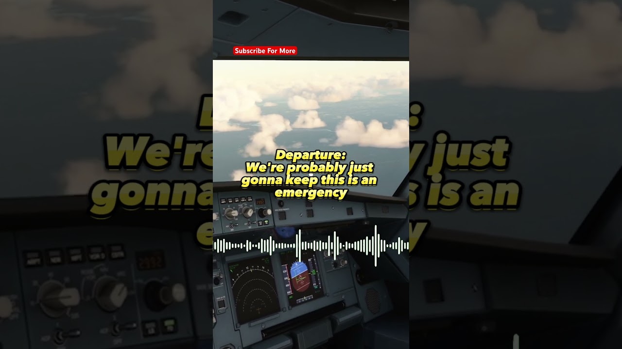 American Airlines Pilot Skillfully Handles BIRD STRIKE After Take Off #aviation #documentary #travel