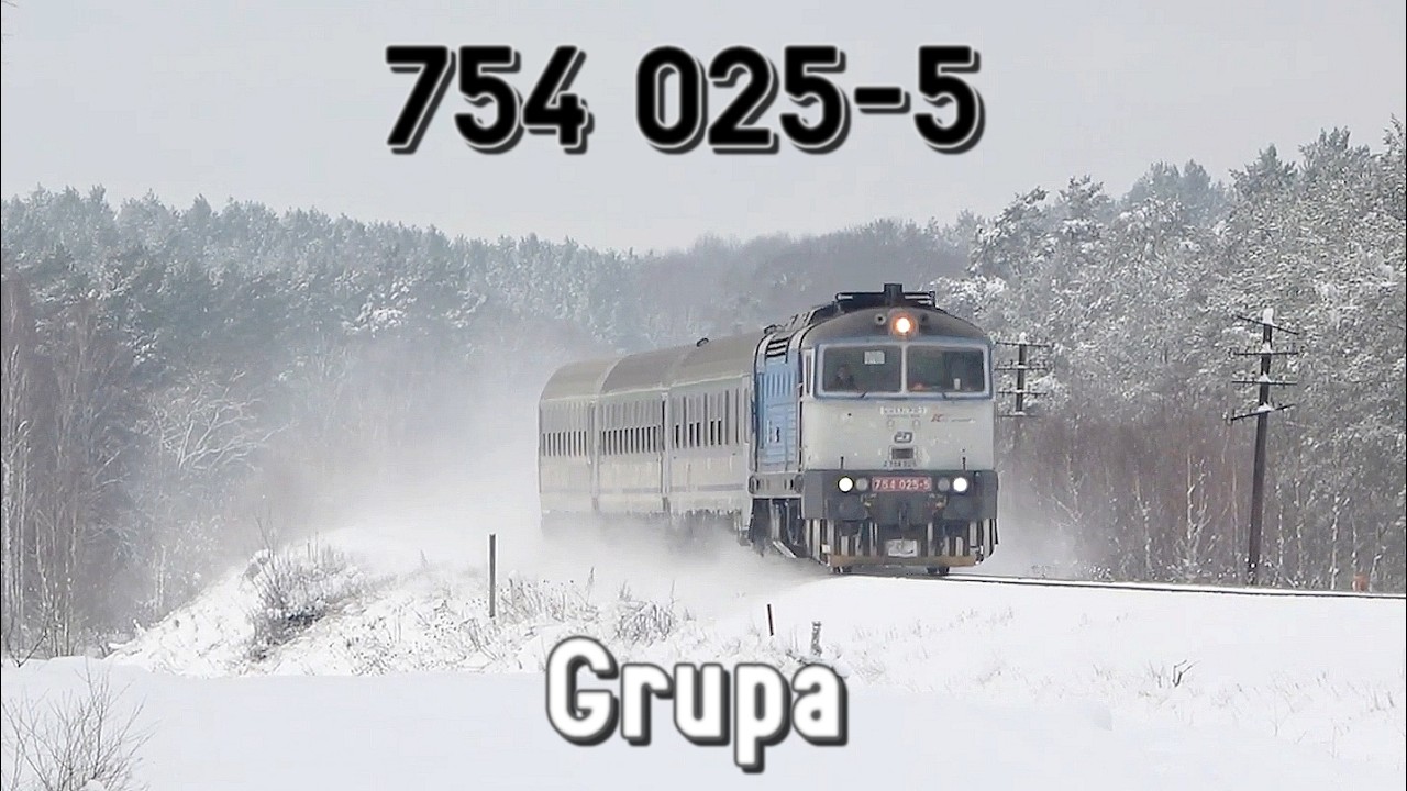 Bory Tucholskie białym puchem malowane: 754 025-5 Grupa