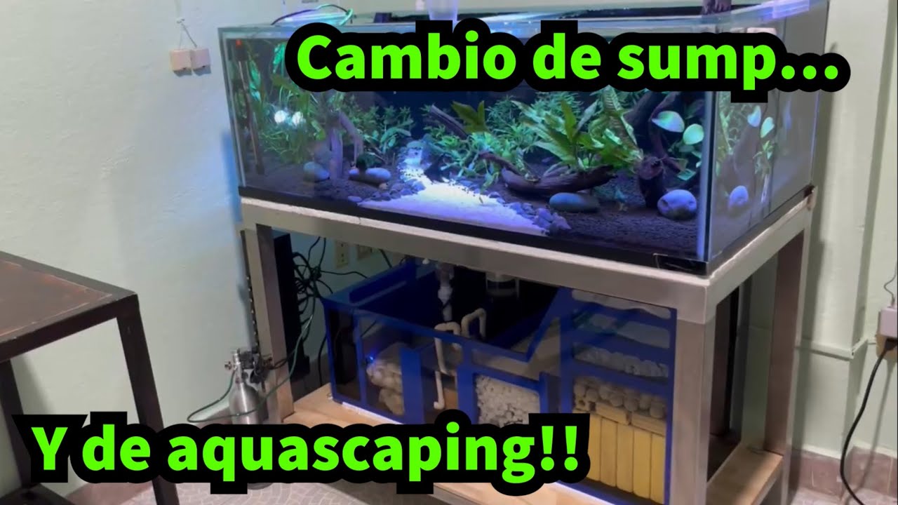Tunéame el acuario: “El sump asiático de Gabino”