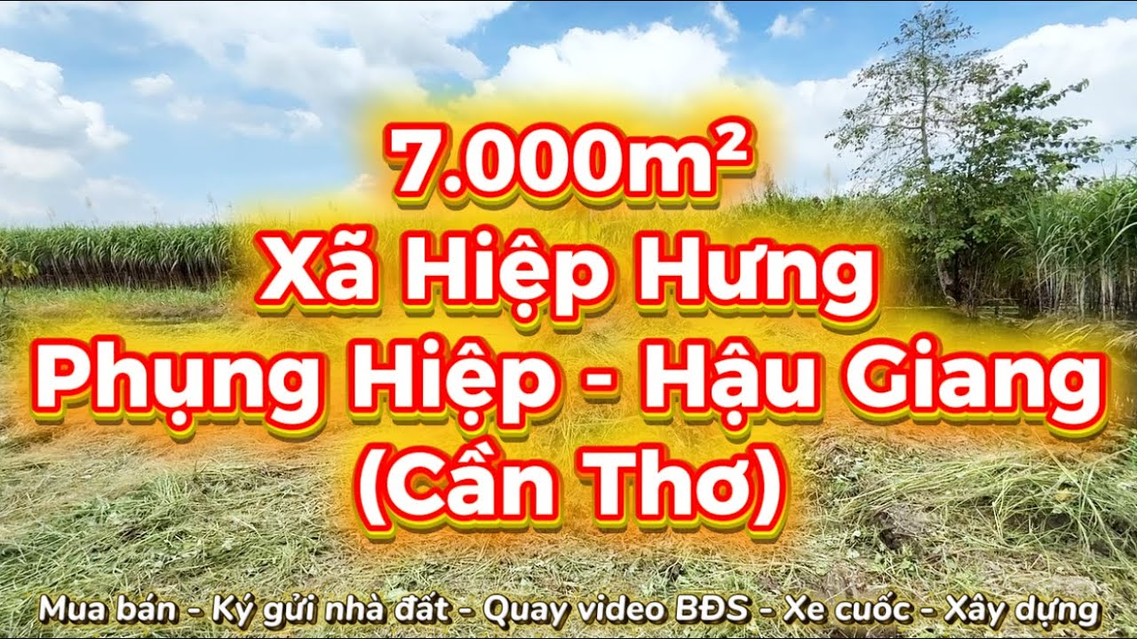 Bán gấp 7 công đất có nhà, có thổ cư, xe 4 bánh tới đất, giá hấp dẫn