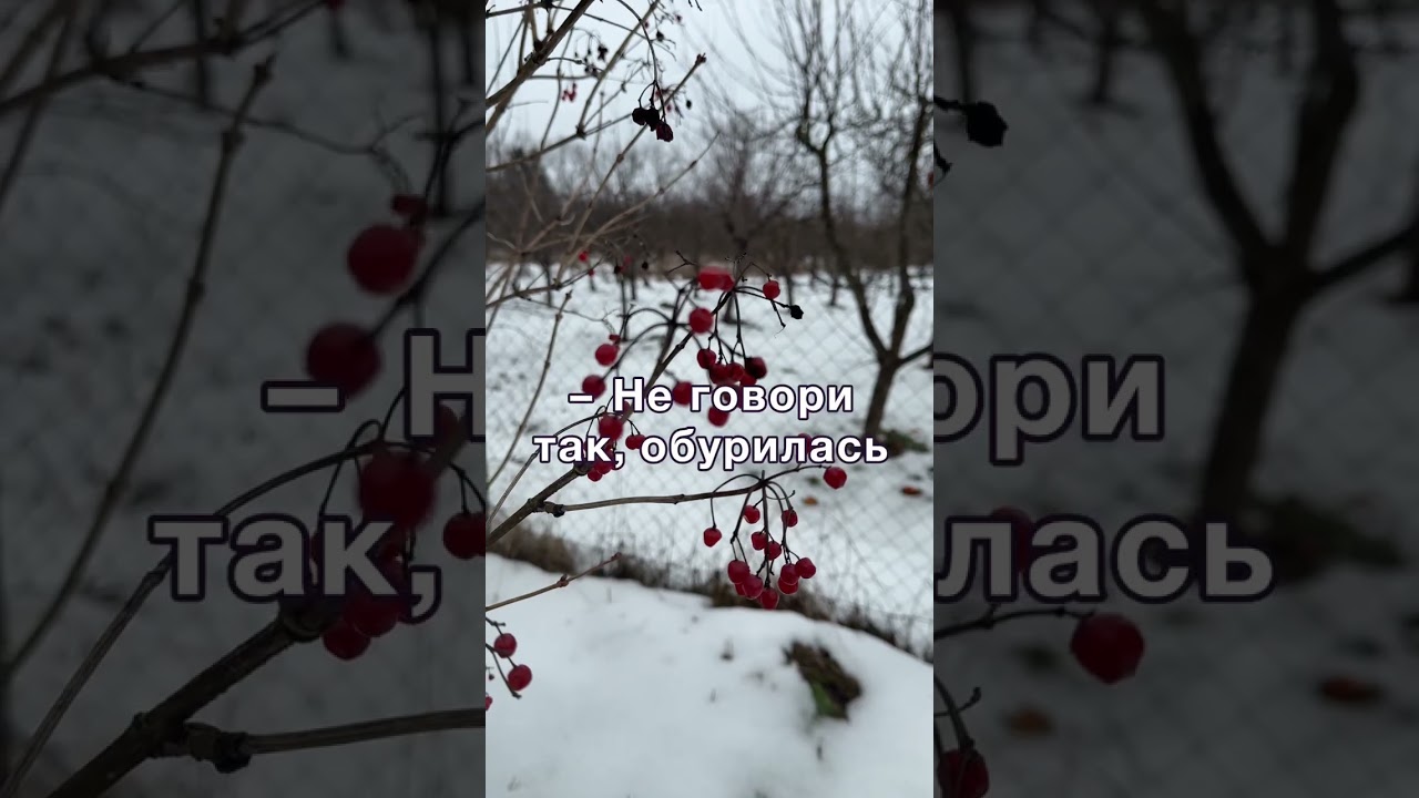 Заради сина мама готова навіть город продати