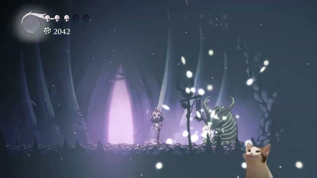 january 22 2026 - hollow knight