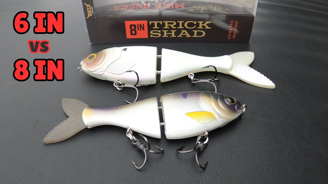 Сравнение Bucca Trick Shad 6 и 8
