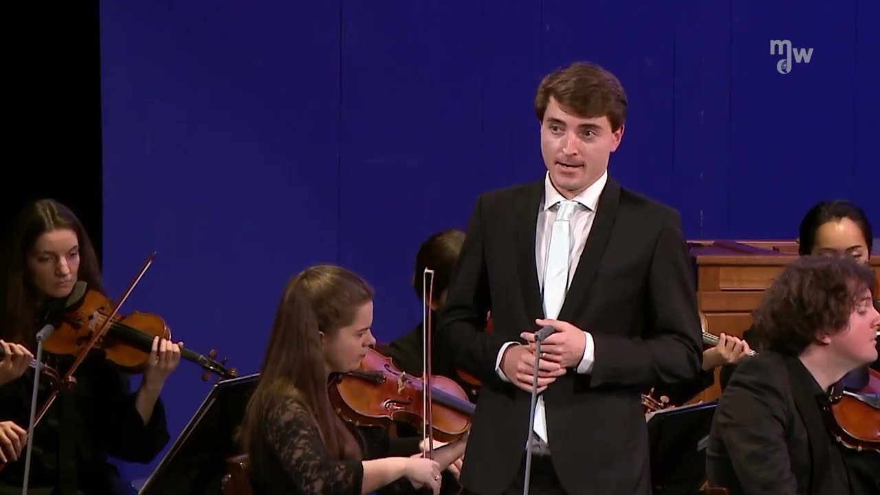 Geheimes - F. Schubert