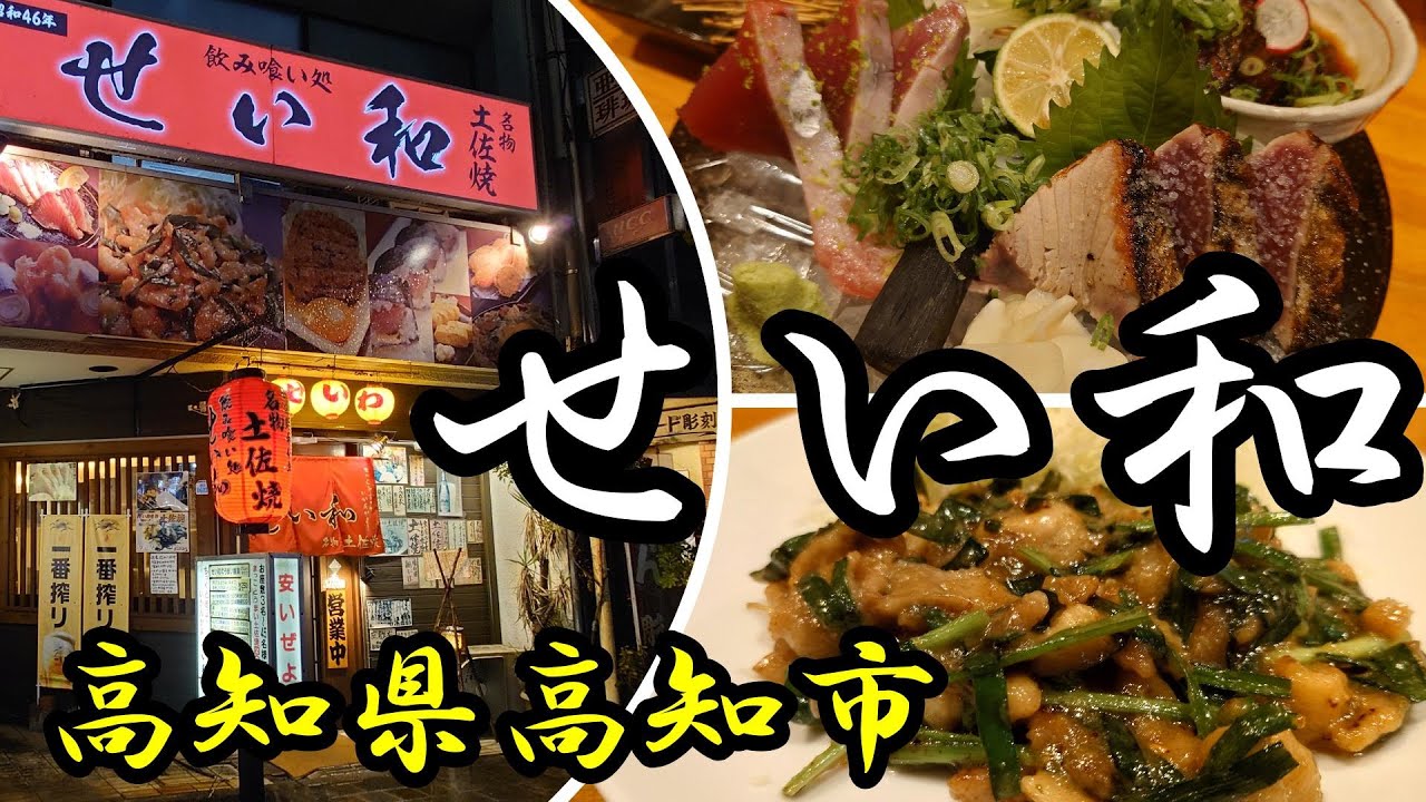 【飲み食い処　せい和】高知県高知市　2023年10月　戻りガツオを本場高知に食べに行ったぜよ！