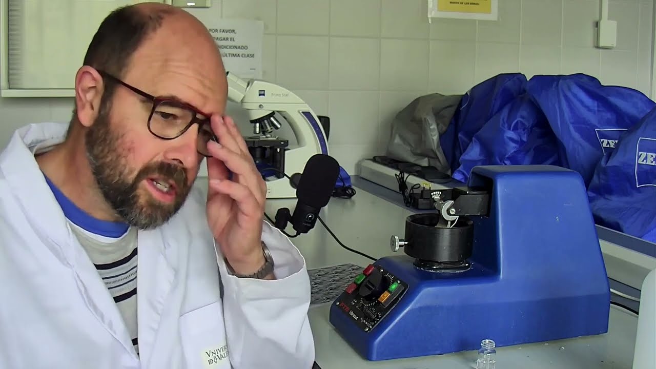 El vibratomo (tipo de microtomo)