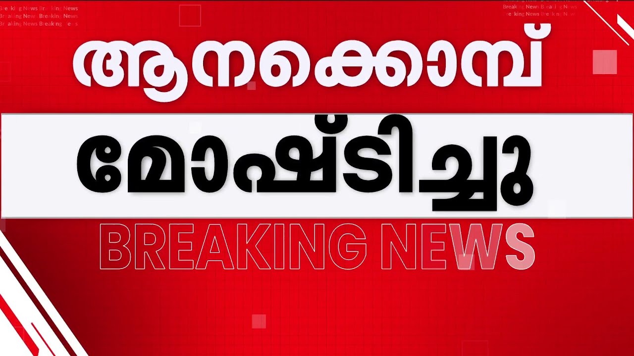 പാങ്ങോട് സൈനിക ക്യാമ്പിൽ നിന്ന് ആനക്കൊമ്പ് മോഷണം പോയി! | Ivory | Indian Army
