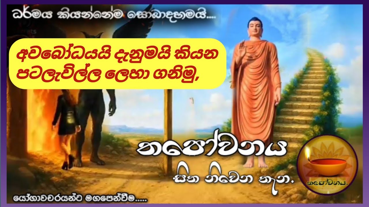 අවබෝධයයි දැනුමයි කියන පටලැවිල්ල නිසා  සසරේ අතරමං වෙනවා#Thapowanaya සිත නිවෙන තැන 🕸