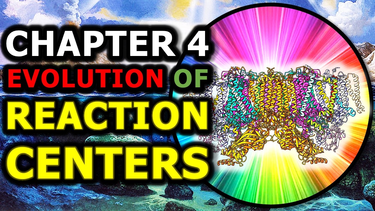 Photosynthesis Chapter 4 | Evolution of Reaction Centers Pt. 2