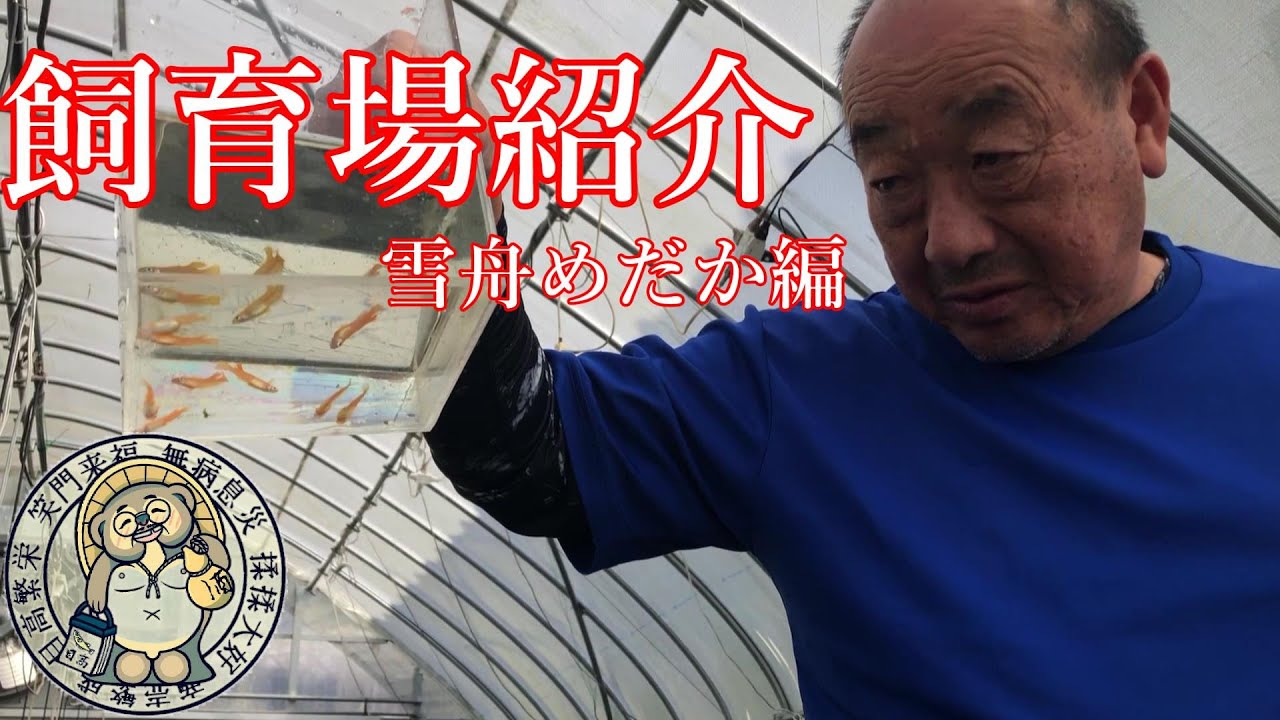 飼育場紹介させてくださいコーナー♪第2回目は雪舟めだかこと木口さんの飼育場紹介です！