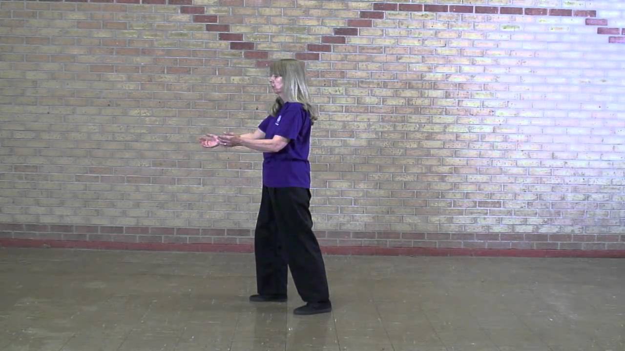 Lee Style Tai Chi
