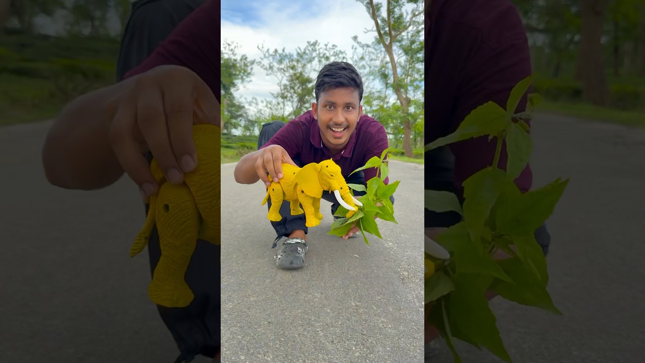 Elephant ko to Yellow Colour Kardya