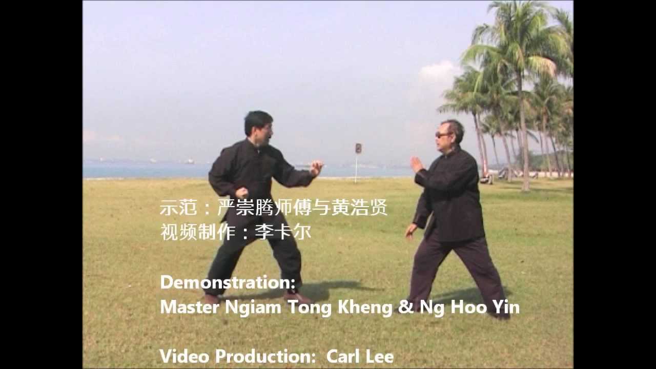 永春白鹤拳实用法门  Yong Chun White Crane Fist Applications