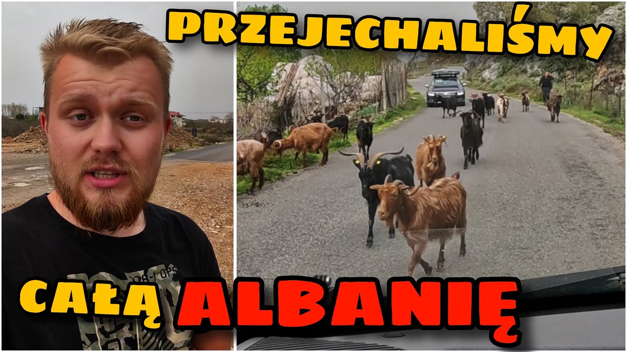 POJECHALIŚMY pod GRECJĘ!!! Krowy, świnie I WARIACI na DROGACH... Odc.232