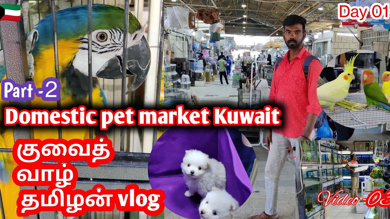 pet market Kuwait Tamil Part -02