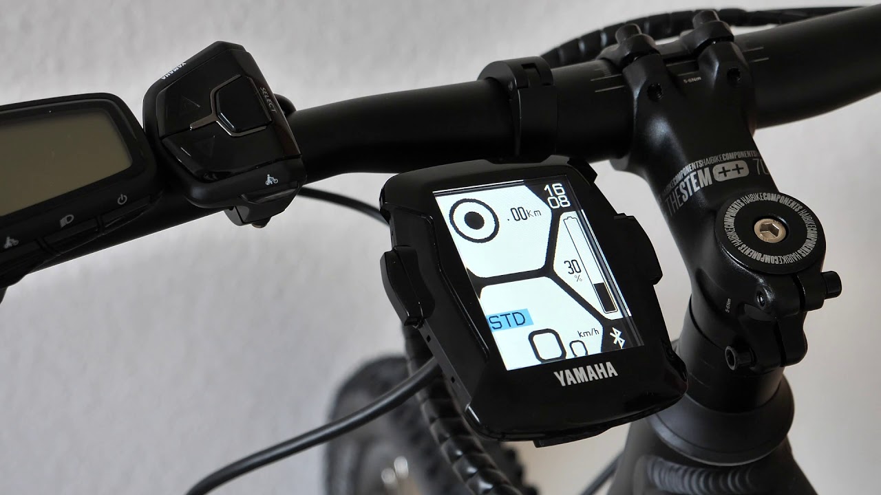 Yamaha Haibike Display C 2019 PW-SE