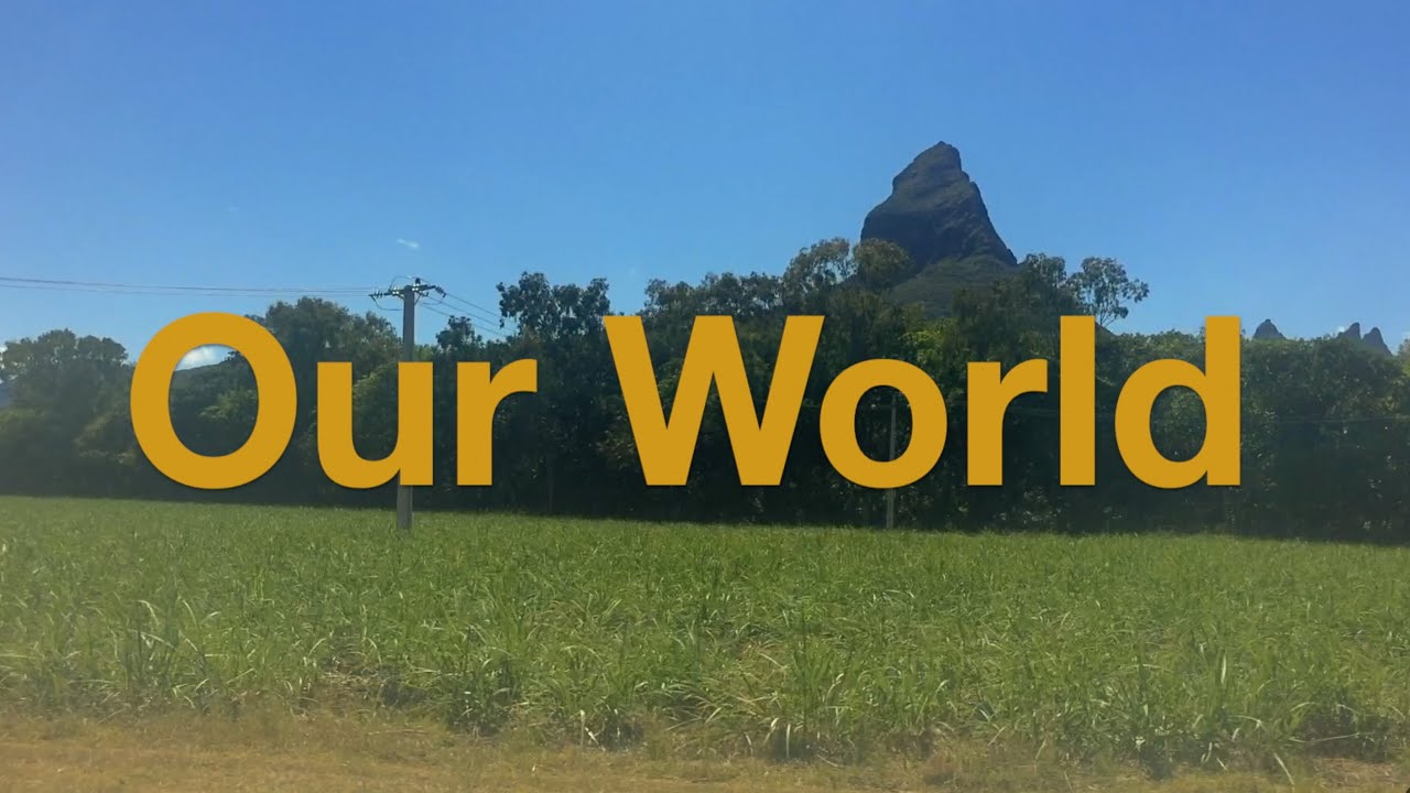 Reginald Omas Mamode IV - It's Our World