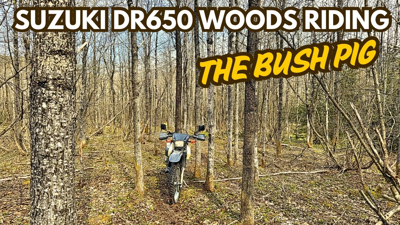 How’s the Suzuki DR650 on Tight Trails?