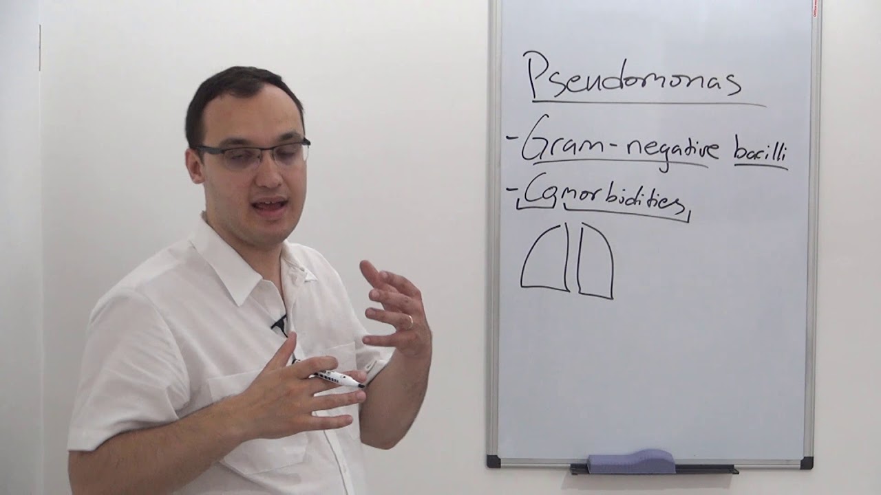 Пневмония: факторы риска развития пневмонии, вызванной Pseudomonas
