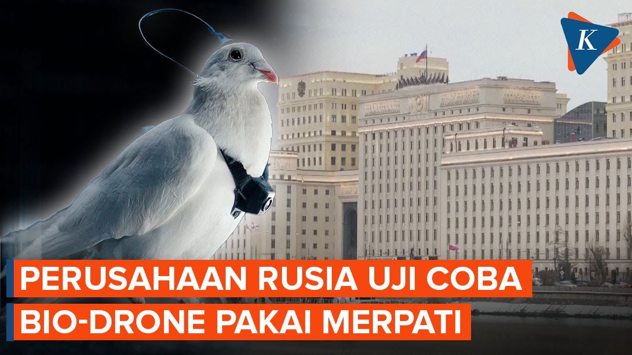 Perusahaan Rusia Uji Coba Bio-Drone Pakai Merpati Hidup