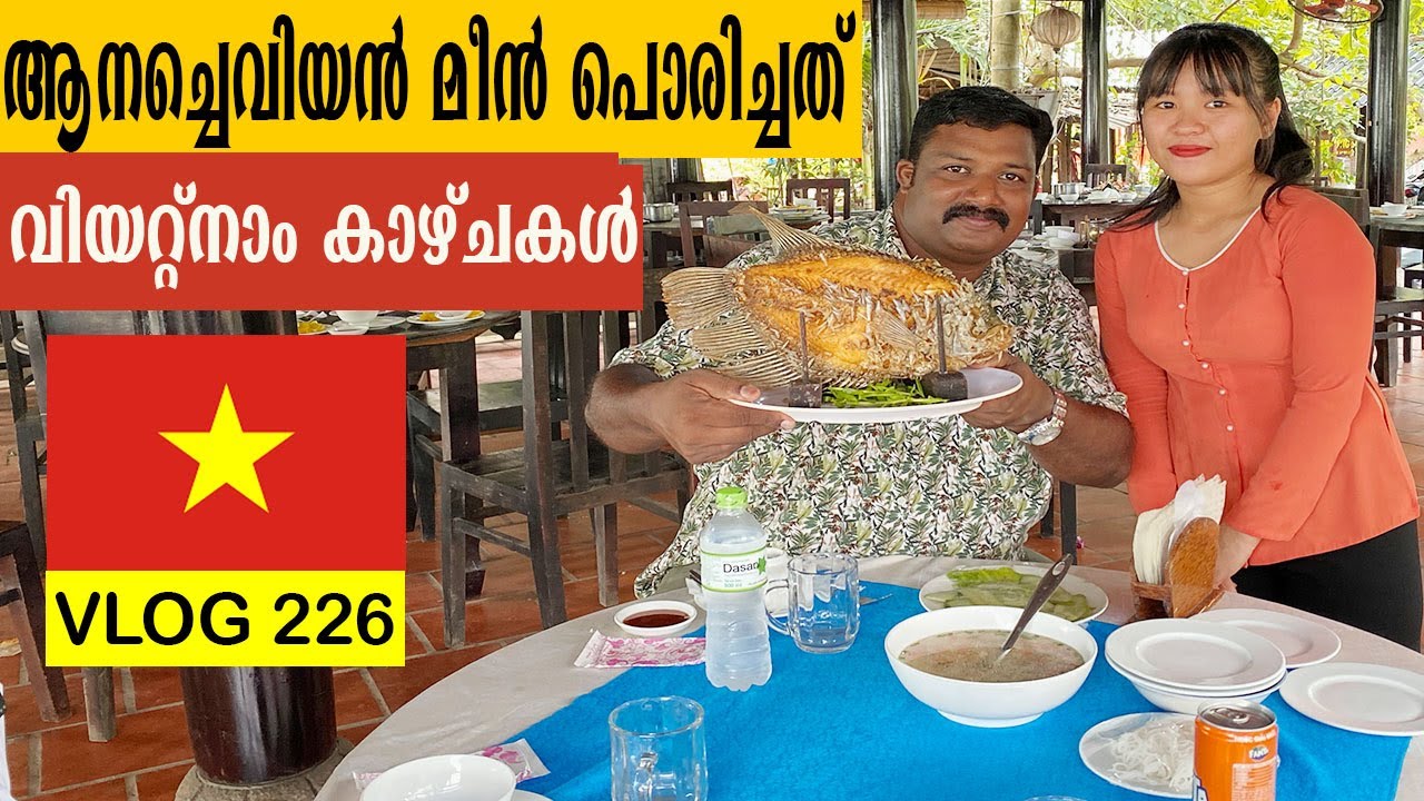 ആന ചെവിയൻ മീനും, തേനീച്ചക്കൂട്ടിലെ വിശേഷങ്ങളും വിയറ്റ്നാമിലെ മേക്കോൻ ഡെൽറ്റയിൽ നിന്ന്| Mekong Delta
