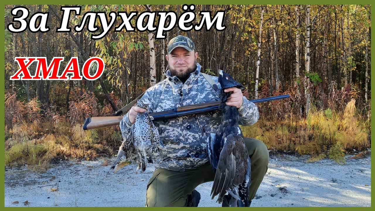 Охота на глухаря. Медвежий угол.